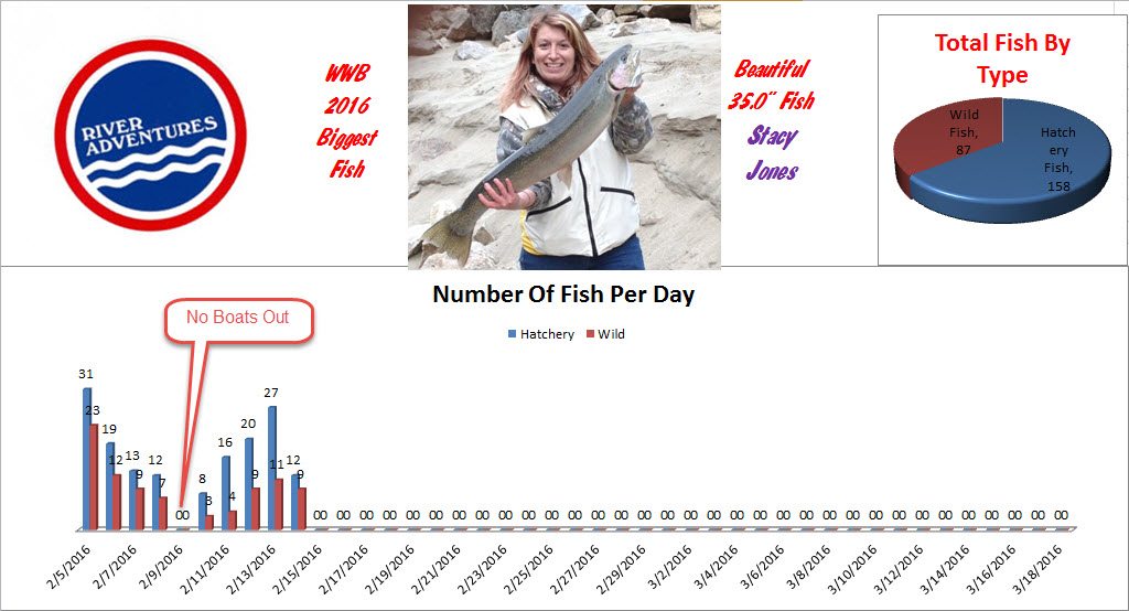 2016 Fish Count