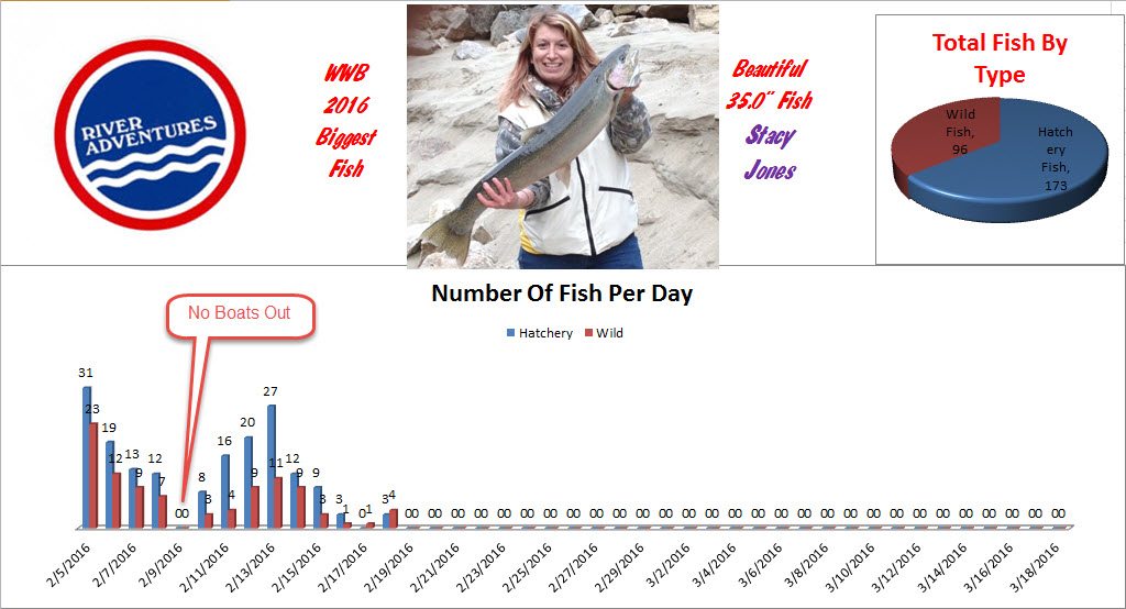 WWB 2016 Fish Counts