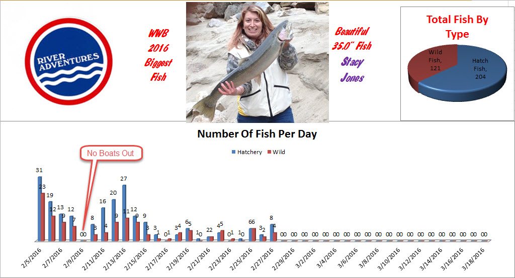 WWB 2016 Fish Count