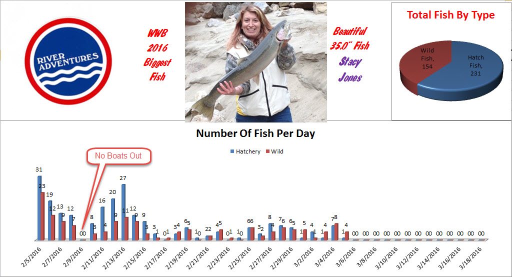 WWB 2016 Fish Count