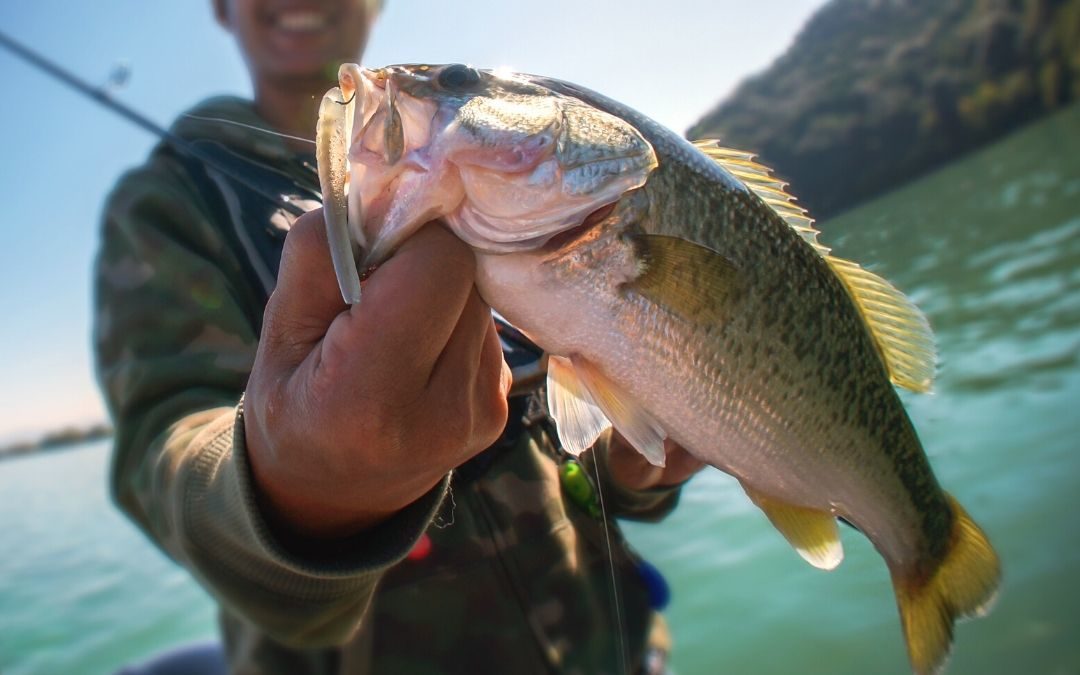 The Best Bait To Use While Fishing in Hells Canyon
