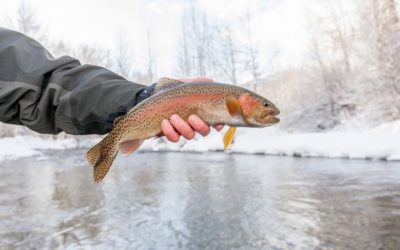 The Top 5 Items To Bring Winter Fishing