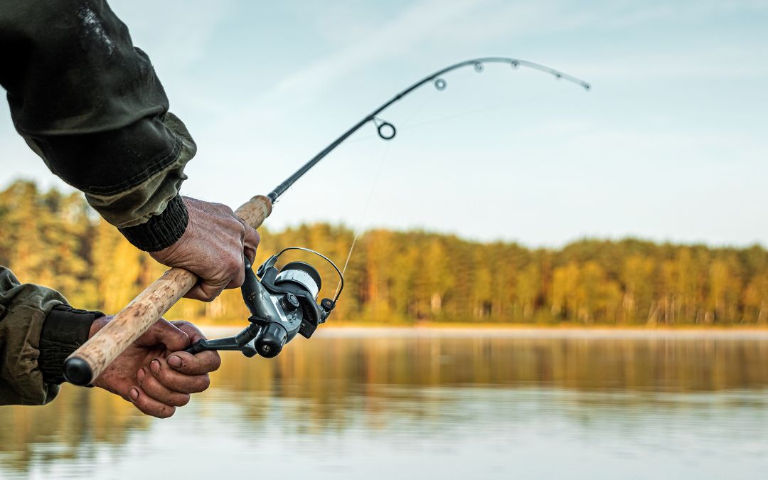 What you need to take your fishing hobby to the next level –