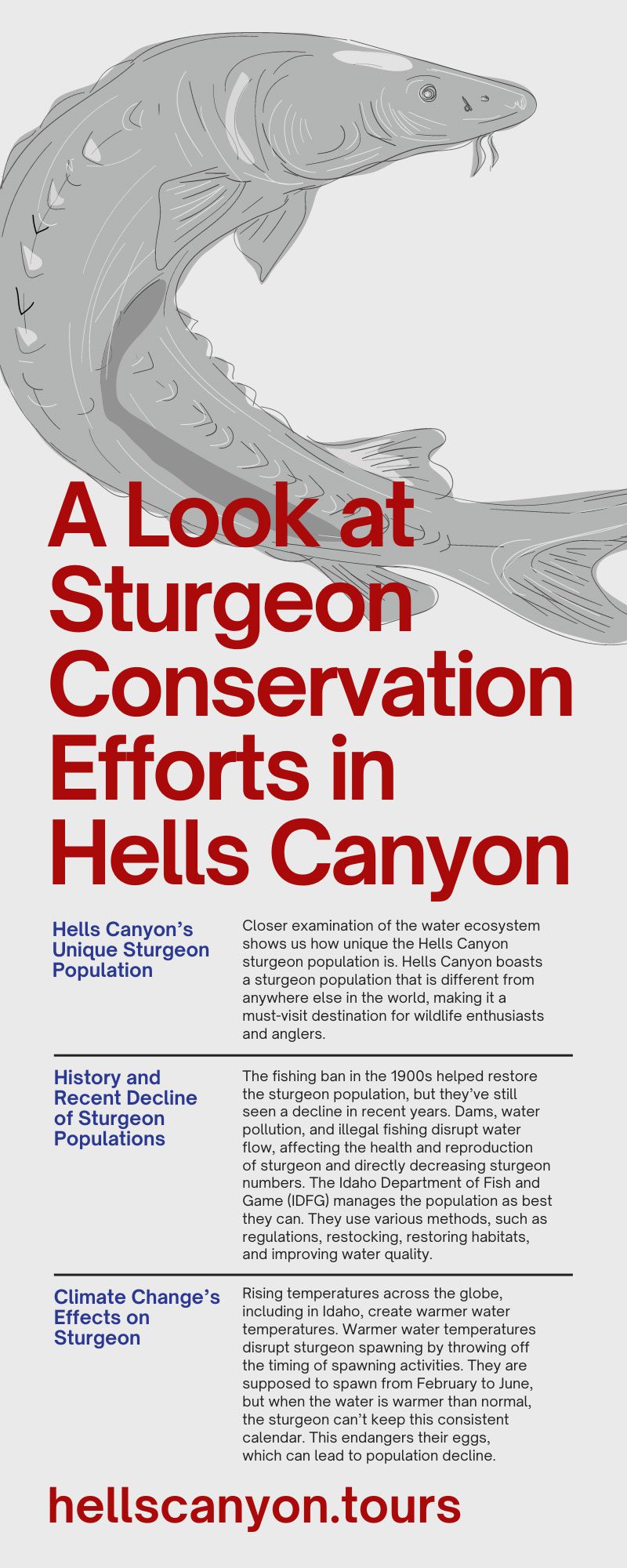 A Look at Sturgeon Conservation Efforts in Hells Canyon
