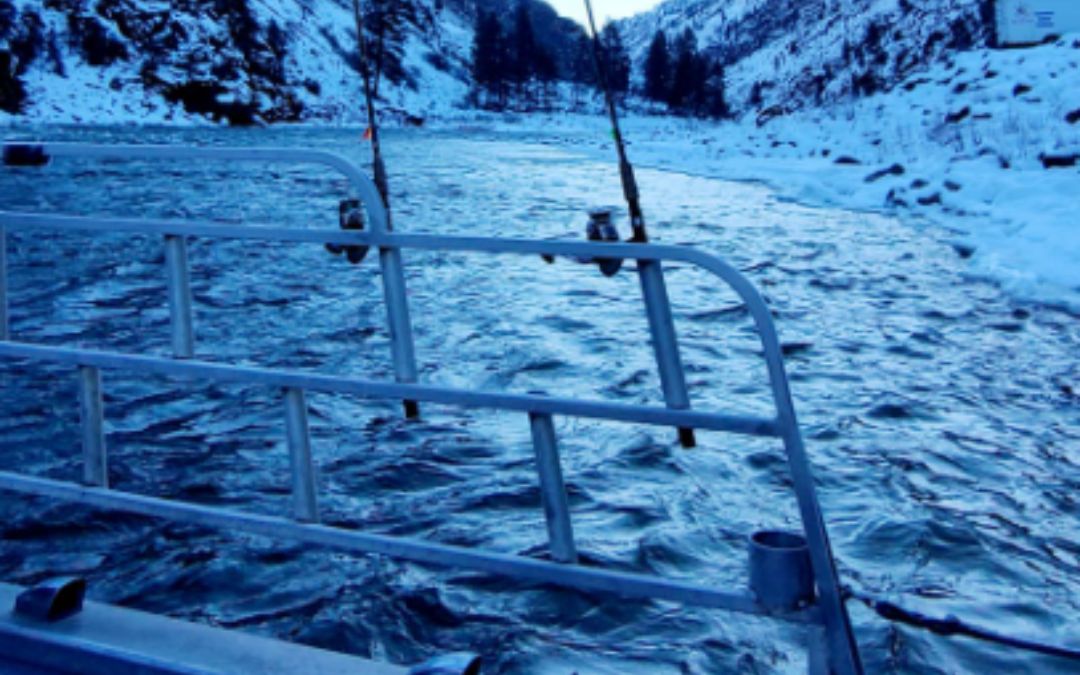 Steelhead Trout Fishing Techniques for Winter