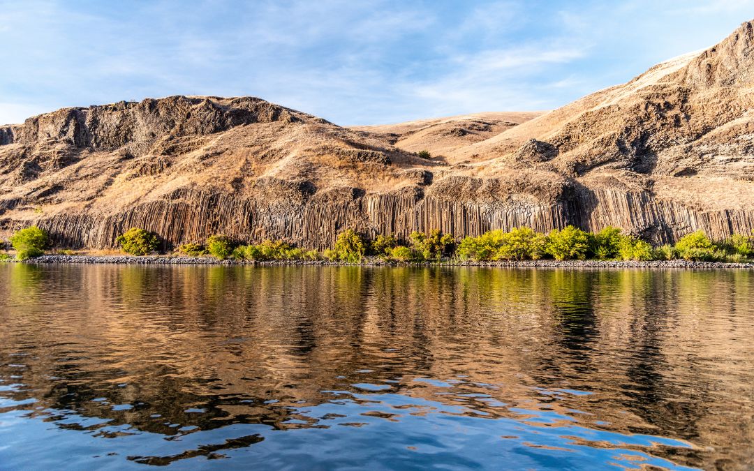 A Look at the Trees and Foliage of Hells Canyon