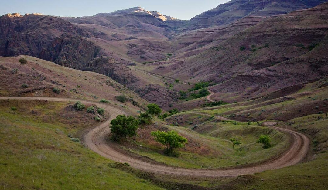 The Canyon Alive: Springtime in Hells Canyon