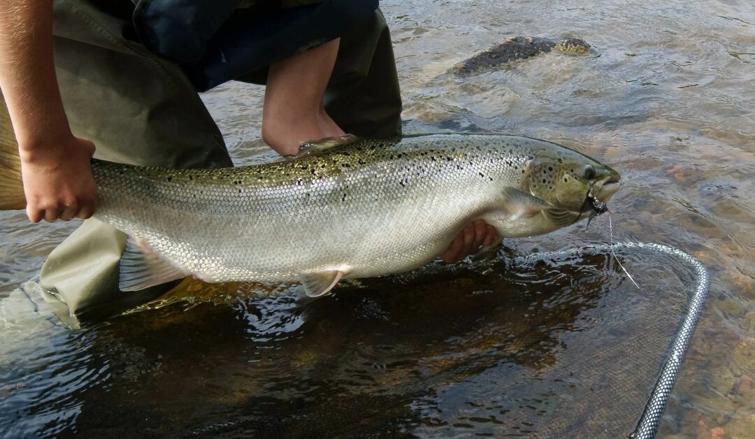 10 Reasons Why You Need To Explore the Salmon River