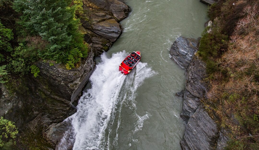 4 Things You’ll Only See on the Salmon River Jet Boat Tour