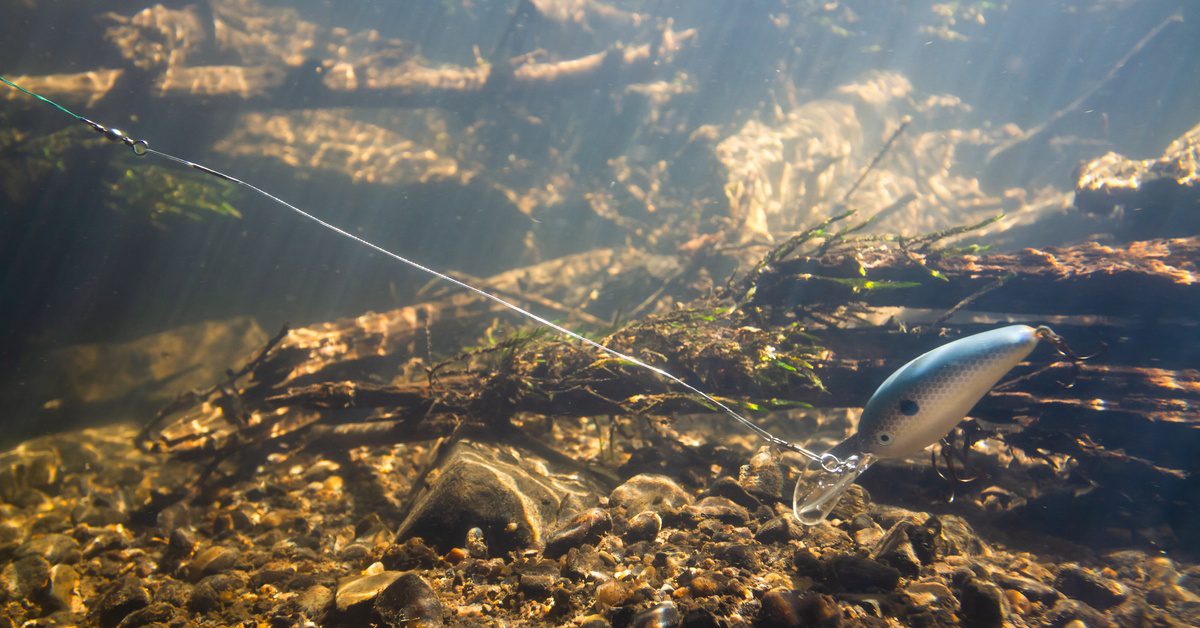 An eggshell and gray lure moves slowly along a sunlit riverbed, with light filtering through clear water.