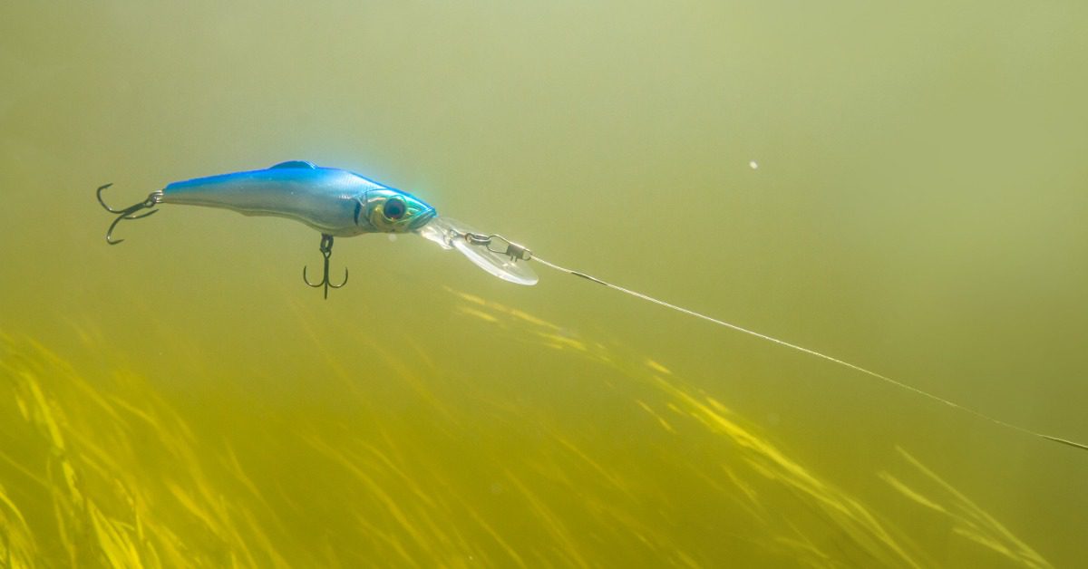 A bright blue lure trails underwater at the end of a fishing line, moving past submerged foliage below the surface.