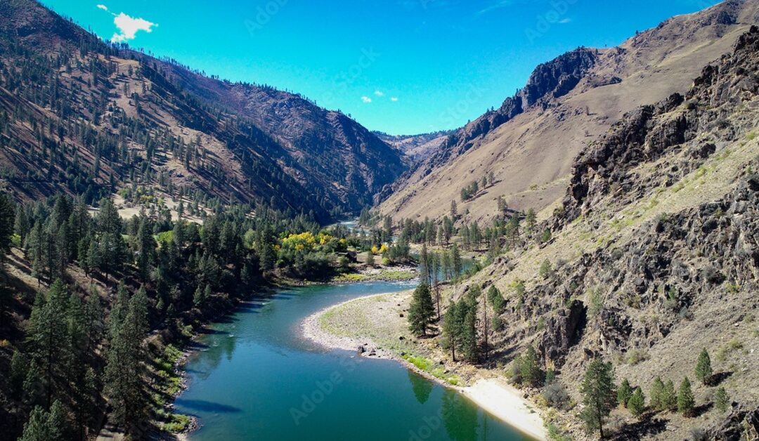 A winding river flows through a rocky mountain valley lined with pine trees beneath a clear blue sky on a sunny day.