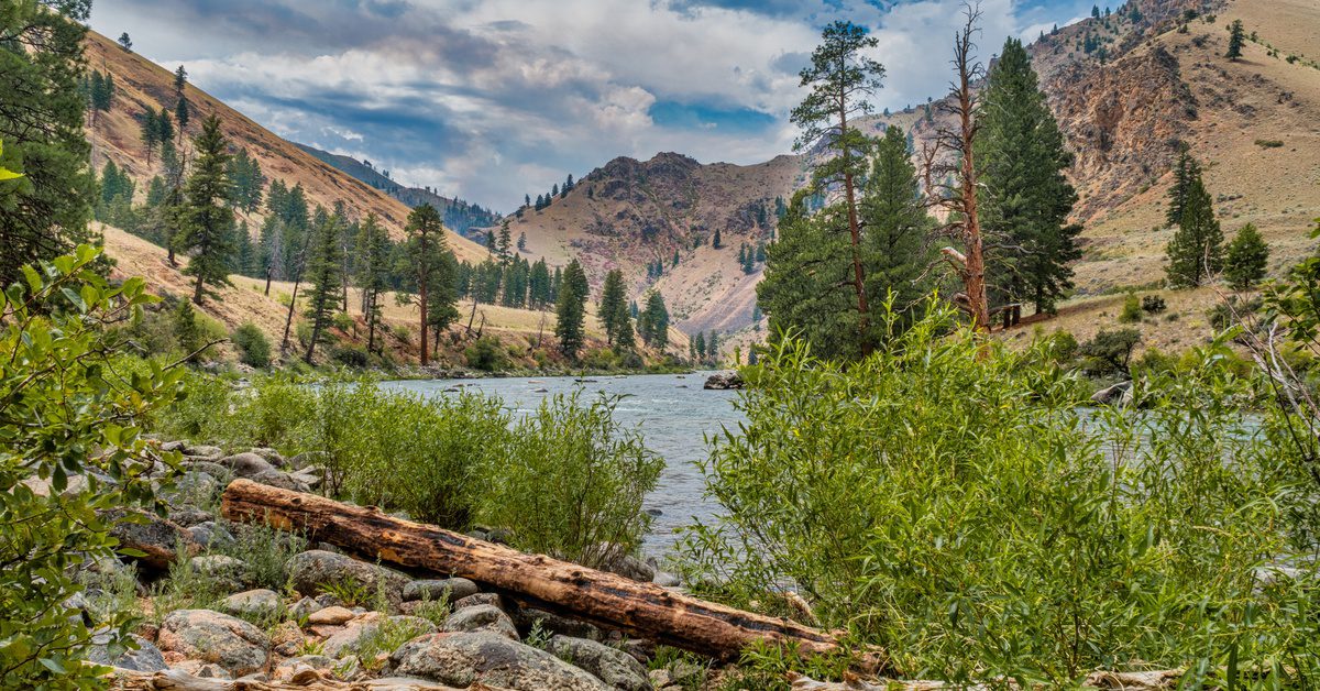 Mountain river winding through a rocky canyon with pine trees, green shrubs, and cloudy skies in a wilderness landscape.