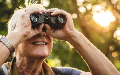 Birdwatching Seasons in Hells Canyon